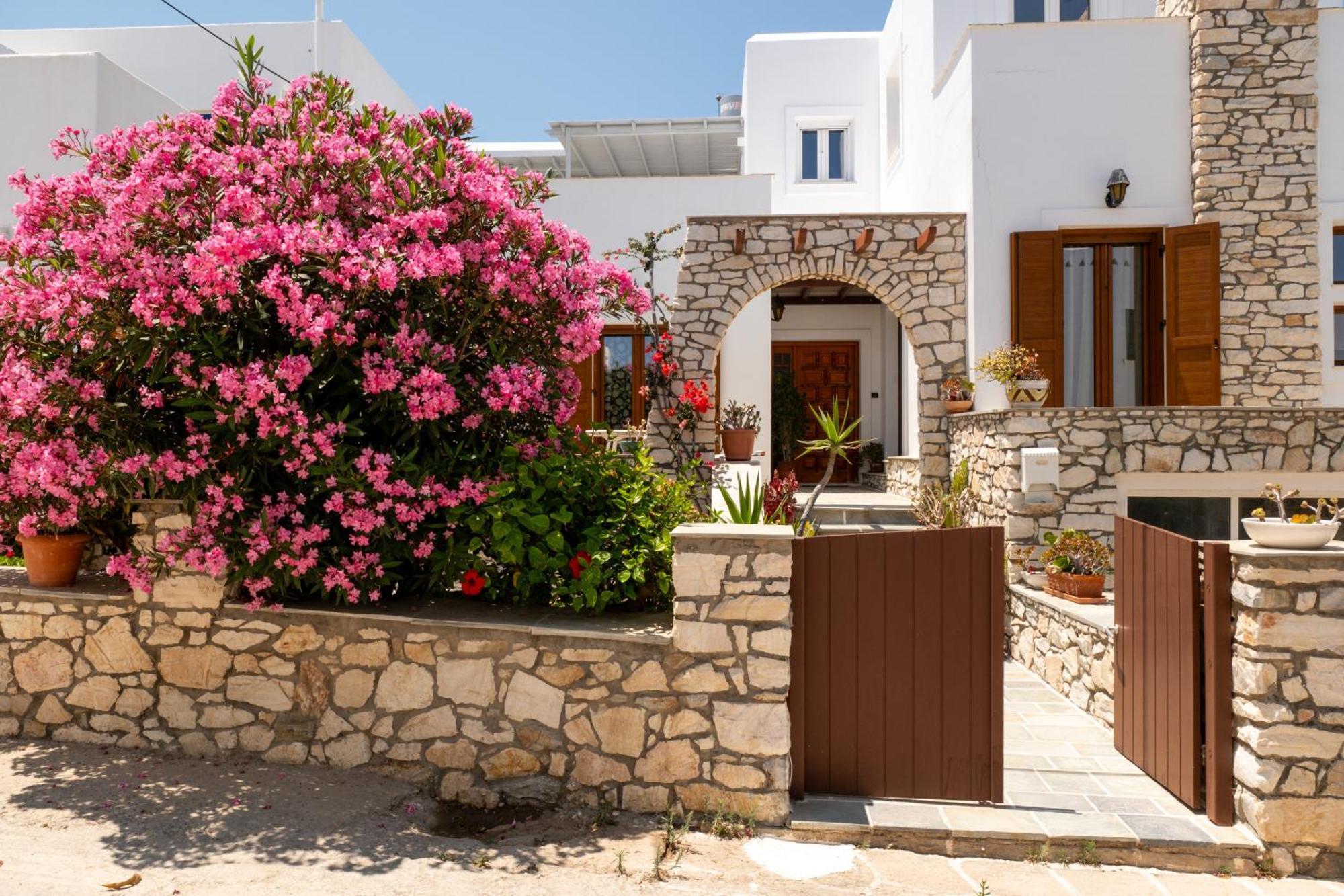 Althea Paros Aparthotel Naousa  Bagian luar foto